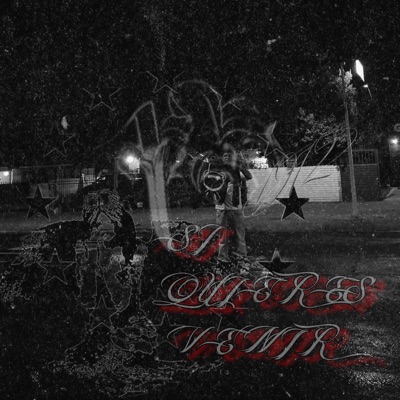 SI QUIERES VENIR - Single