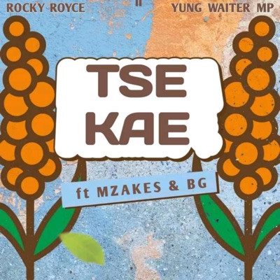 Tse Kae (feat. Rocky Royce, Mzakes & BG) - Single