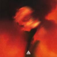 Light It Up - Single - JJL & MÆDM