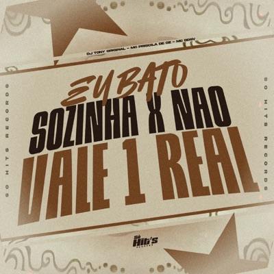 Eu Bato Sozinha x não Vale 1 Real - Single