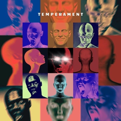 Temperament (feat. Icyfire) - Single