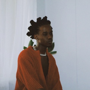 Radar (I Still Feel A Way) [feat. Shoka Sunflower]