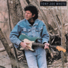 Lake Placid Blues - Tony Joe White