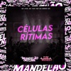 Células Rítimas - Single