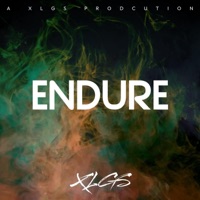 Endure - Single - XLGS