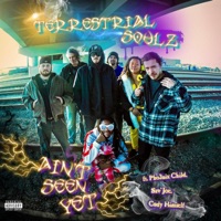 Ain't Seen Yet (feat. Pho3nix Child, Sav' Joe & Cody Himself) - Single - Terrestrial Soulz