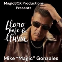 Lloro Bajo La Lluvia - Single - Mike 