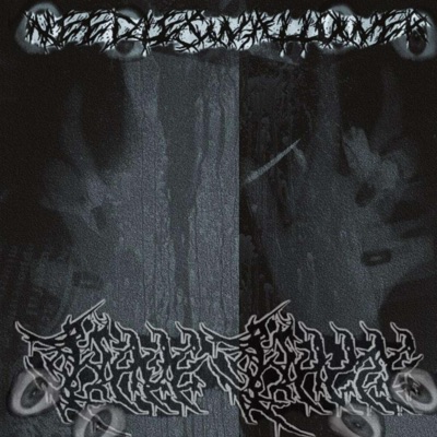 The Real Chaos (feat. NEEDLESWALLOWER) - EP