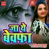 Jaa Ye Bewafa - Single