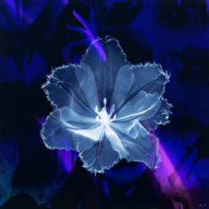 Neptune's interlude