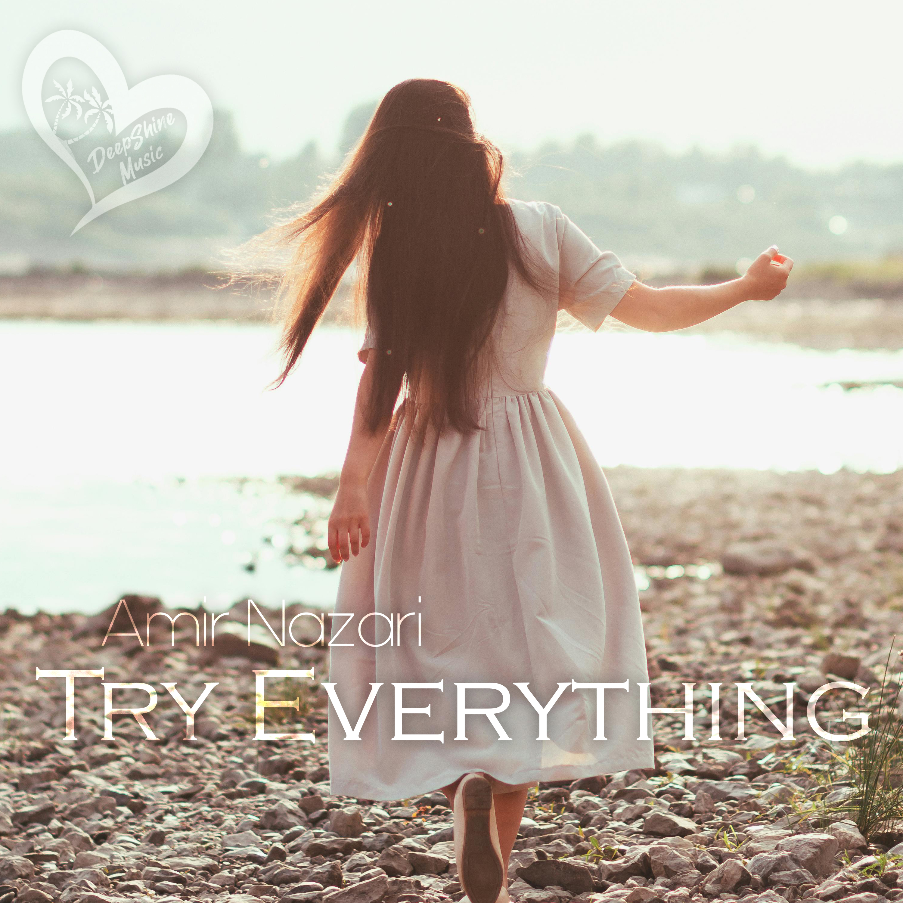 Try Everything - Single