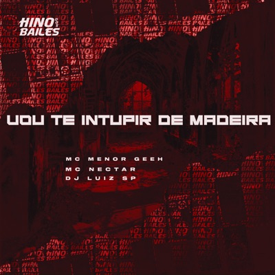 Vou Te Intupir de Madeira - Single