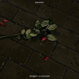 finger crossed yanee