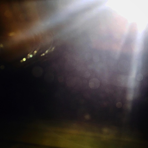 See The Light