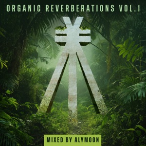 Smile of the Moon (feat. Roy Lavie) [DSF Remix - Mixed] {MIXED}