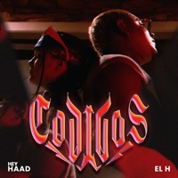 Códigos - Single - Hey Haad & El H