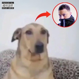 Bicho Solto (feat. Mc Luizinho)