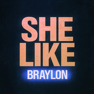 SHE LIKE - Single