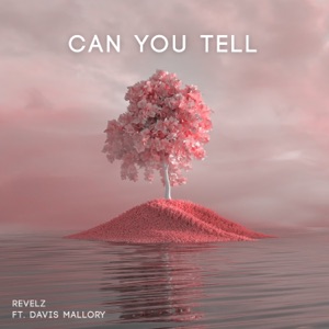 Can You Tell - Single