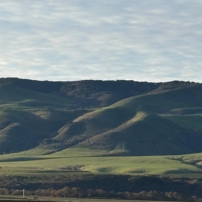 I Sing Praises To Your Name (feat. LoverOfGOD) - Single