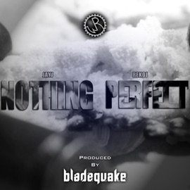 Nothing Perfect (feat. JayJ & ReKo J) bladequake