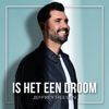 Jeffrey Heesen - Is Het Een Droom kunstwerk