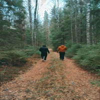 Muuttolinnut (feat. Mc Rambo) - Single - Antti Karsee