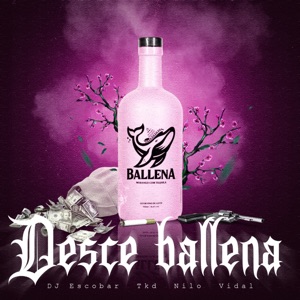 Desce Ballena (feat. Tkd)