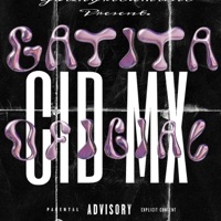 GATITA OFICIAL - Single - Cid MX
