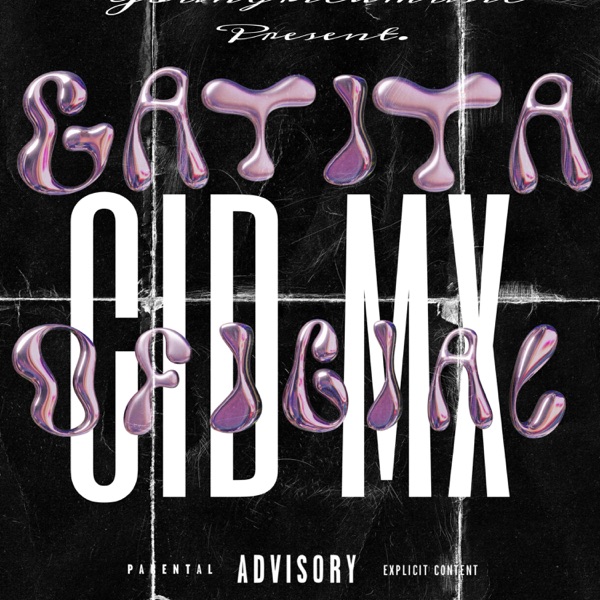 GATITA OFICIAL