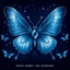 Soil Symphony - Single