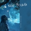 A New Breath: Transformations through 4-7-8