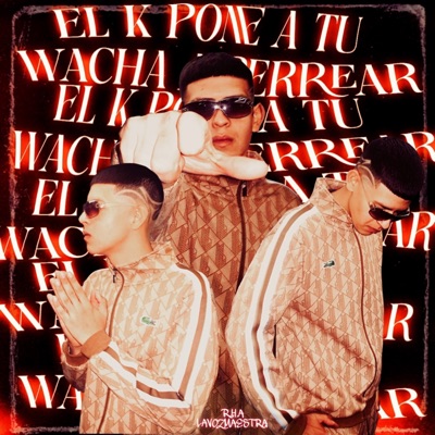 El Ke Pone a Tu Wacha a Perrear - EP