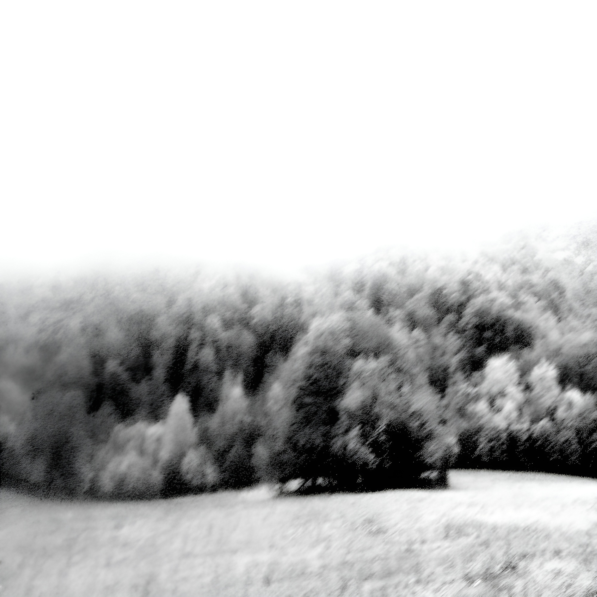 Spread Beci - Tombol a verem