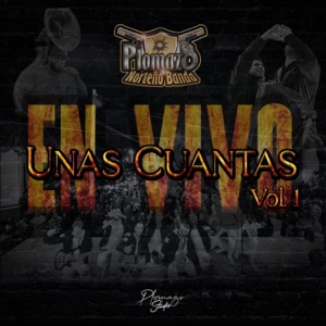 Unas Cuantas En Vivo - EP