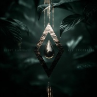 Neo (Recoded) - Single - Light Language