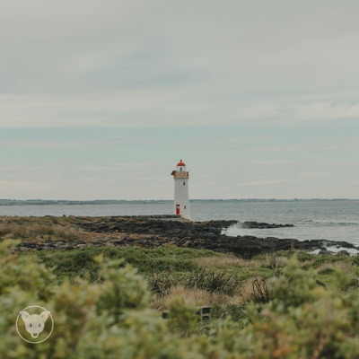 Lighthouse - Single