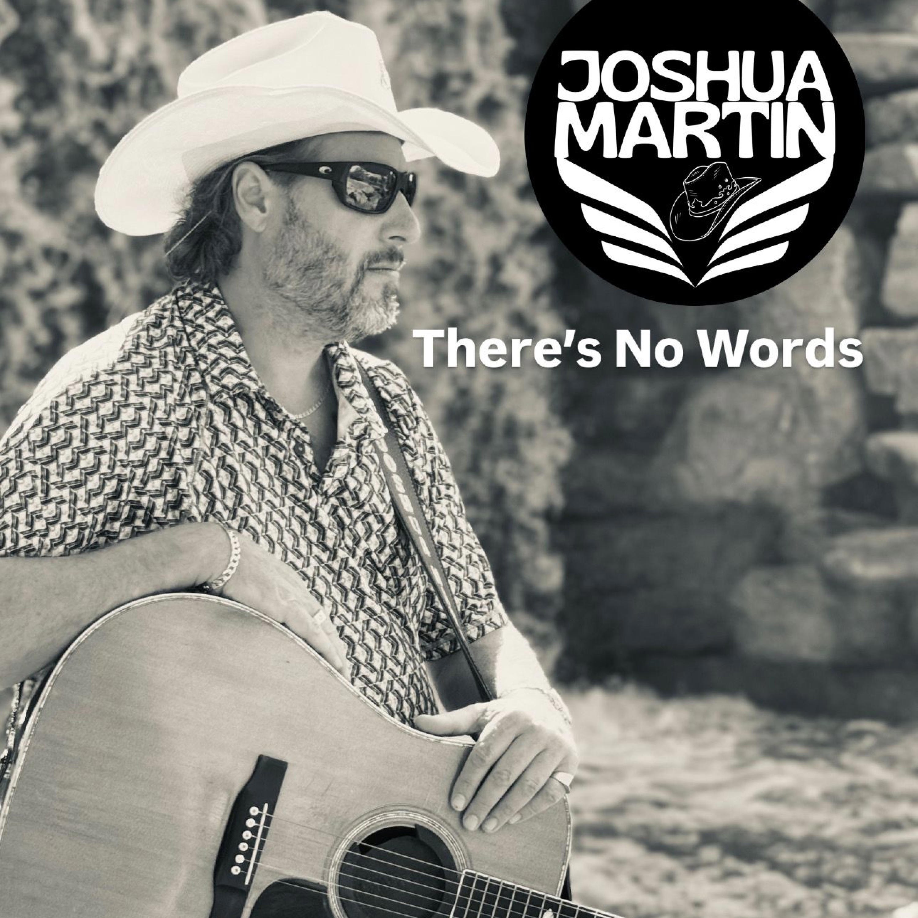 Theres No Words - Single