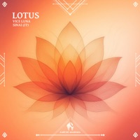 Lotus - Single - Vice Luna, Sinai & Cafe De Anatolia