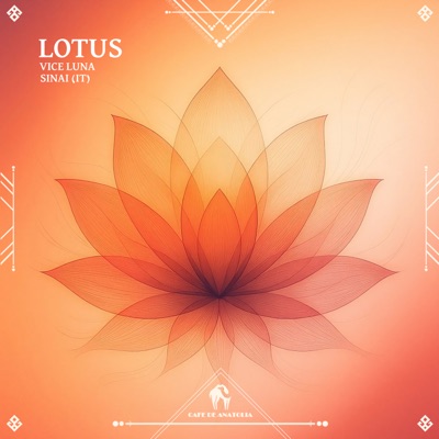 Lotus - Single