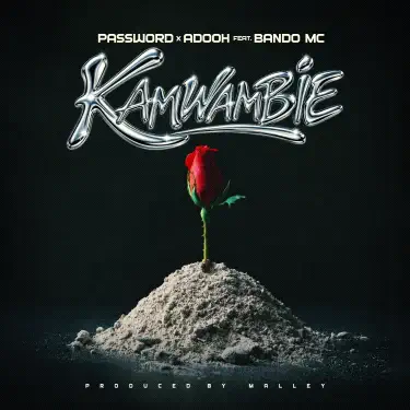Kamwambie,Adooh (feat. Bando Mc)