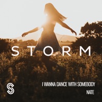 I Wanna Dance with Somebody - Single - Nate