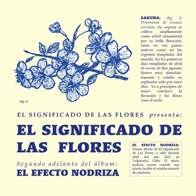 El Significado de las Flores - Single