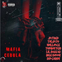 Mafia Cedula (feat. Lil Rose 03, Wallance, Bigg Danny & RIP Cardy) - Single - JP FRED, Talento Mafia & Topboy TGR