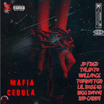 Mafia Cedula (feat. Lil Rose 03, Wallance, Bigg Danny & RIP Cardy) - Single
