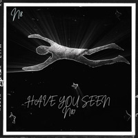 HAVE YOU SEEN N8? - N8music