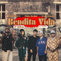 Bendita Vida (feat. JP Chiflado, Flako Medina, Kroby Coleman & ShadO Torres) - Single - Jay Dallaz
