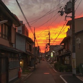 apology (feat. Victxrw & pichu) arid