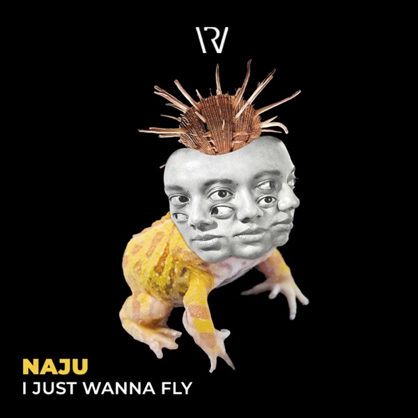 I Just Wanna Fly - Single