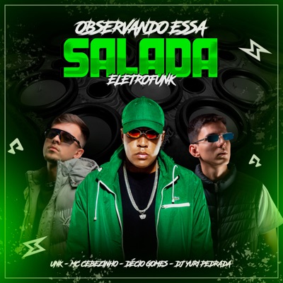 Observando Essa Salada (Eletrofunk) [feat. DJ Yuri Pedrada] - Single